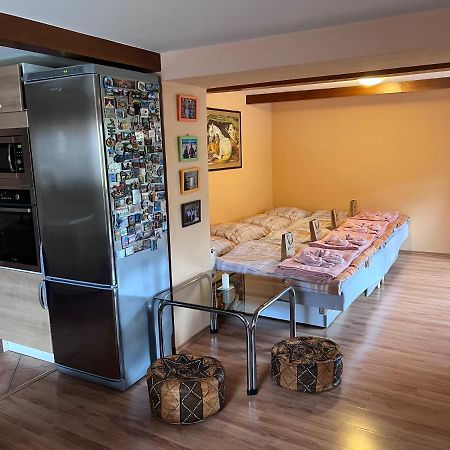 Dafinka Daire Banská Bystrica Dış mekan fotoğraf
